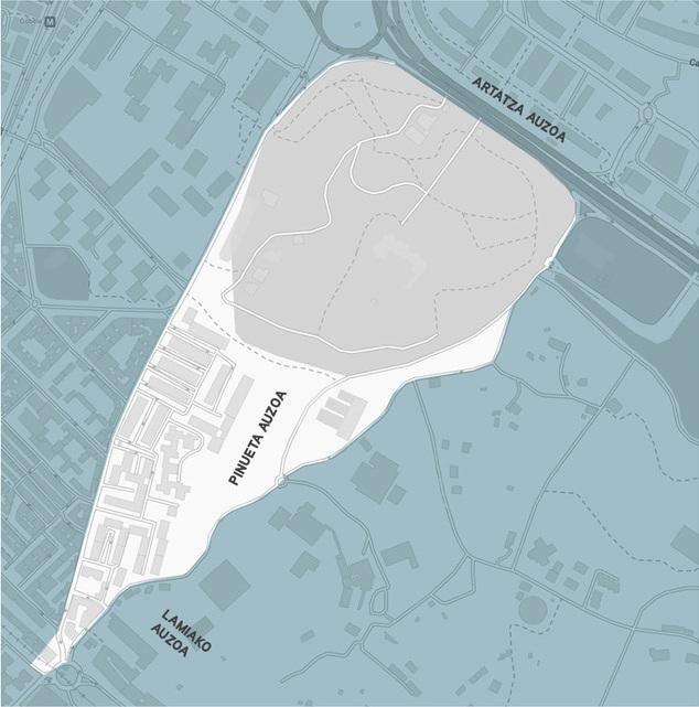 Irudia PINUETARAKO proposatzen dituzun hobekuntzak ezagutu nahi ditugu....