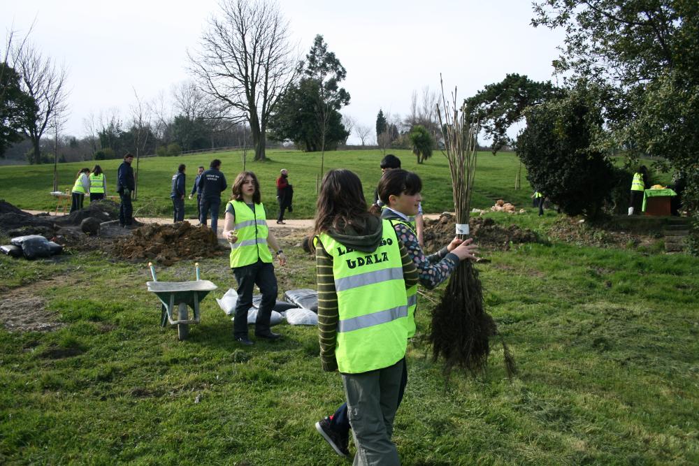 Irudia Plantacion Bolunburu