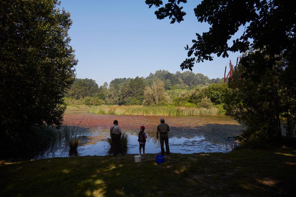 Imagen Información medioambiental